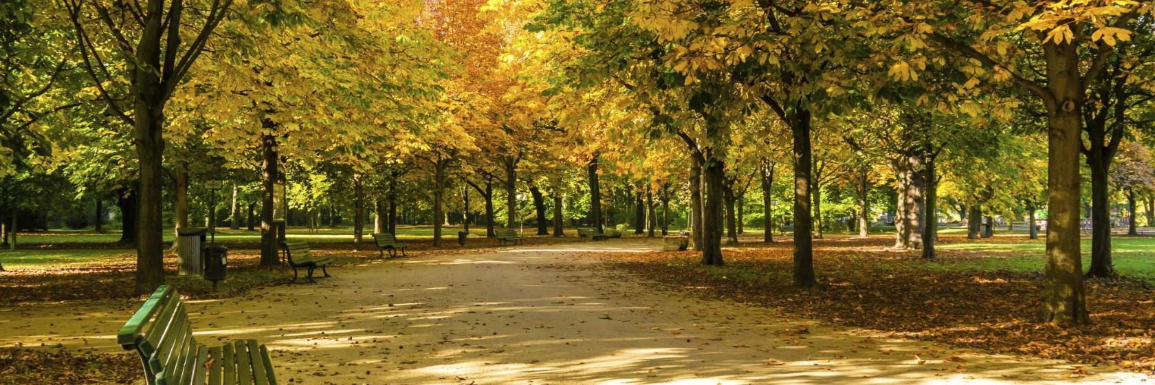 Parco pubblico Großer Tiergarten